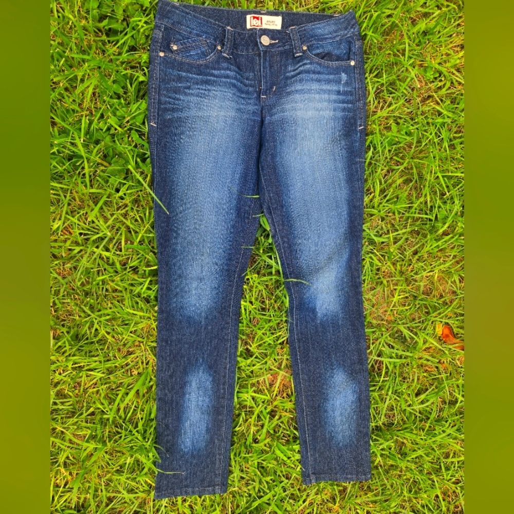 Blue Lowrise skinny Lie jeans Embroidery